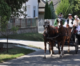 A hintó bakján ül a vőfély és vágtatnak a menyasszonyért.