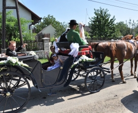 A hintó bakján ül a vőfély és vágtatnak a menyasszonyért.